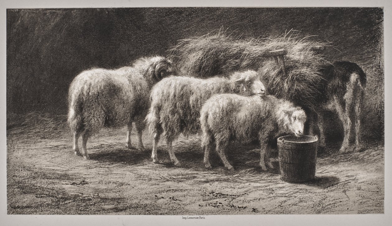 Schafstall (Bergerie) von Rosa Bonheur