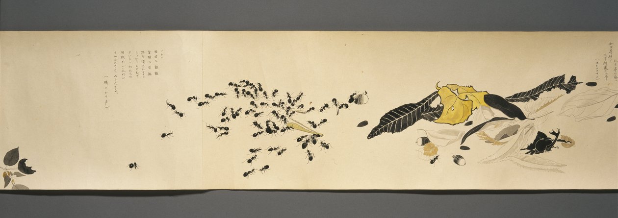 Wildlife Friends (Yasei no Tomo), Taisho-Periode, Taisho 7. Jahr, um 1918 von Ryoka Kawakami