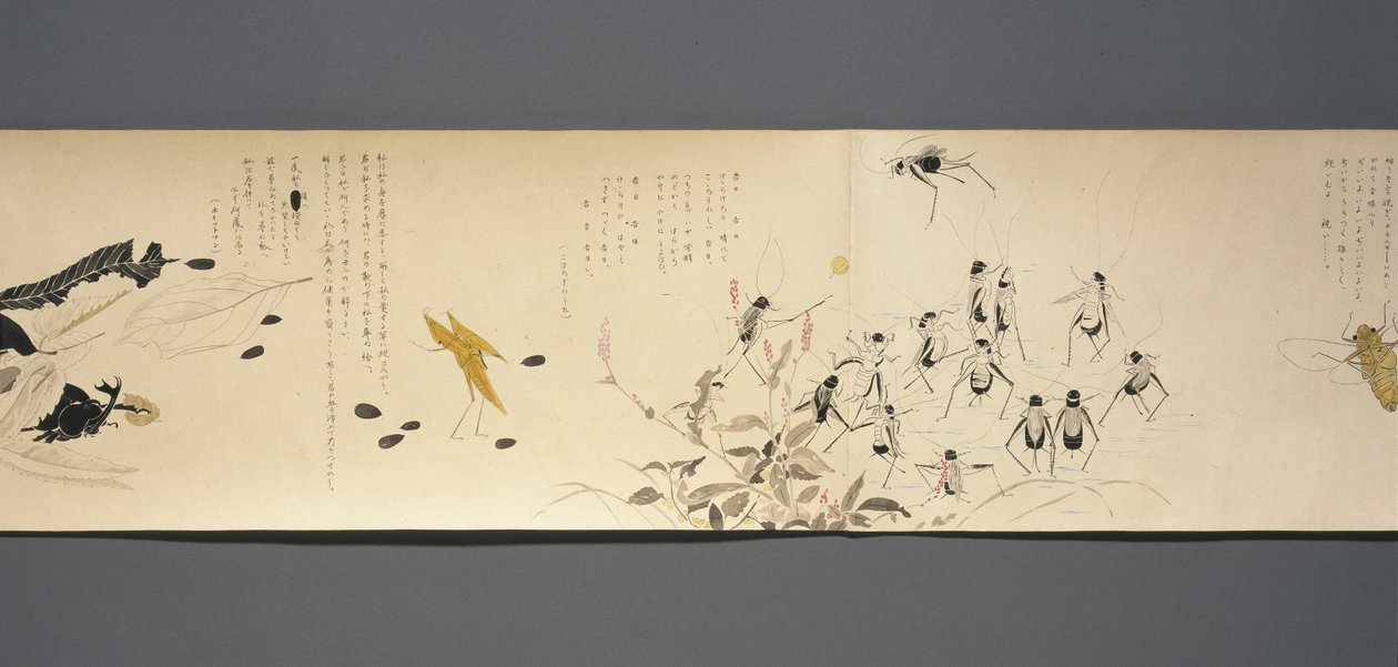 Wildlife Friends (Yasei no Tomo), Taisho-Periode, Taisho 7. Jahr, ca. 1918 von Ryoka Kawakami