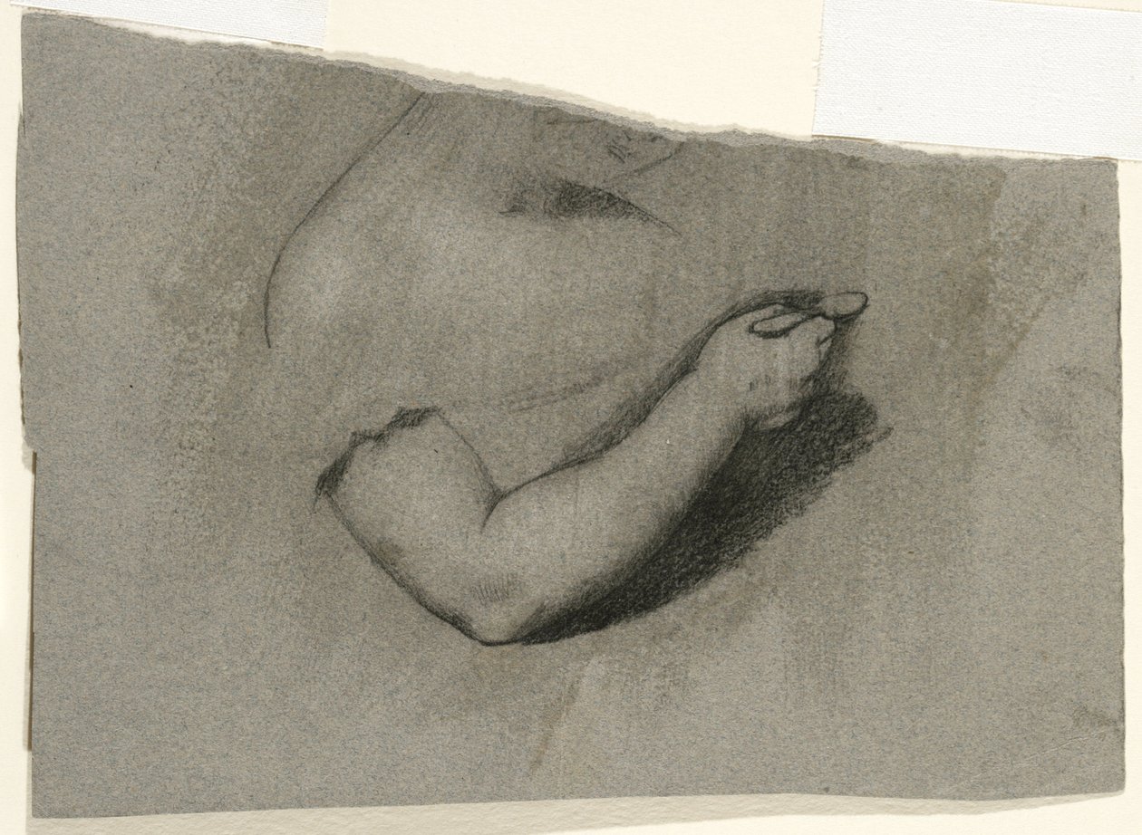 Studie für ein Porträt von Mary Hone von Samuel Finley Breese Morse