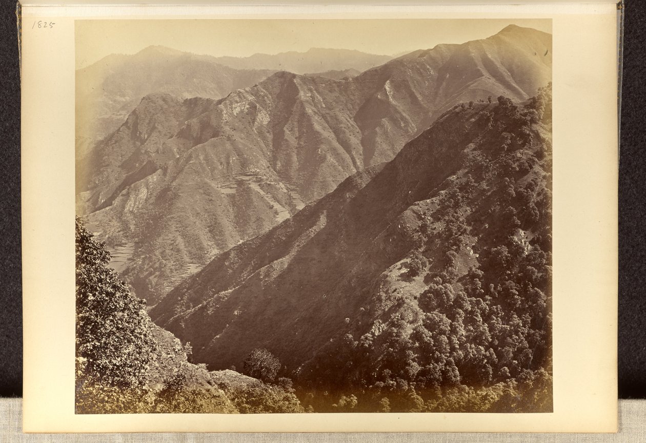Simla: „Khuds“ nördlich von Jakko, vom Elysium Hill aus von Samuel Bourne