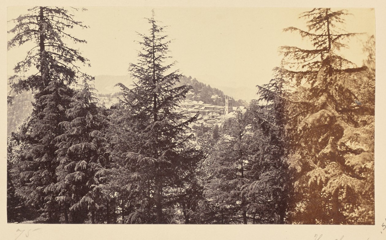 Simla; Die Kirche durch die Bäume, von Jakko von Samuel Bourne