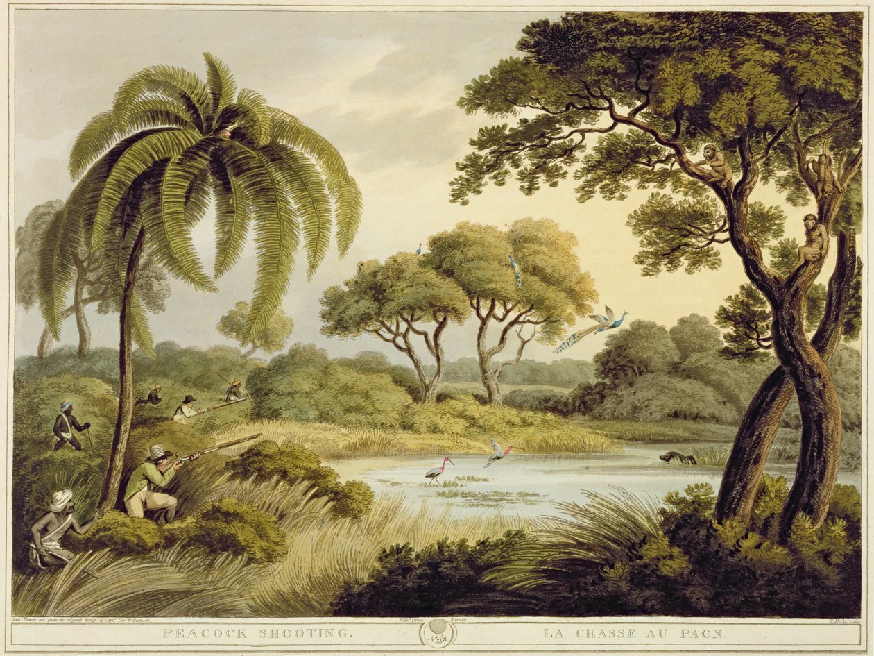 Pfauenschießen, aus Oriental Field Sports, veröffentlicht von Edward Orme, 1807 von Samuel Howett