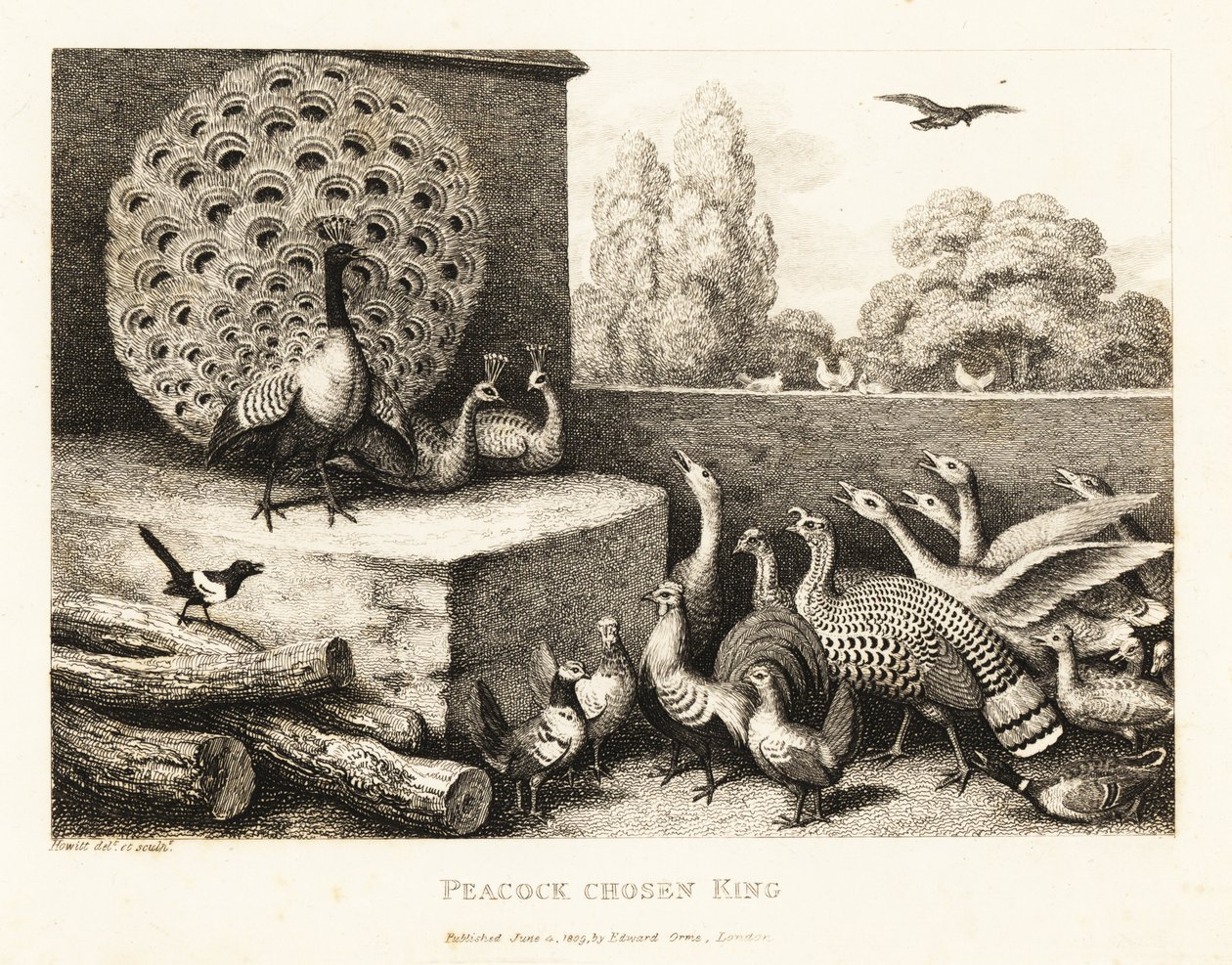 Ein Pfau wird zum König der Hofvögel gewählt. 1811 von Samuel Howitt