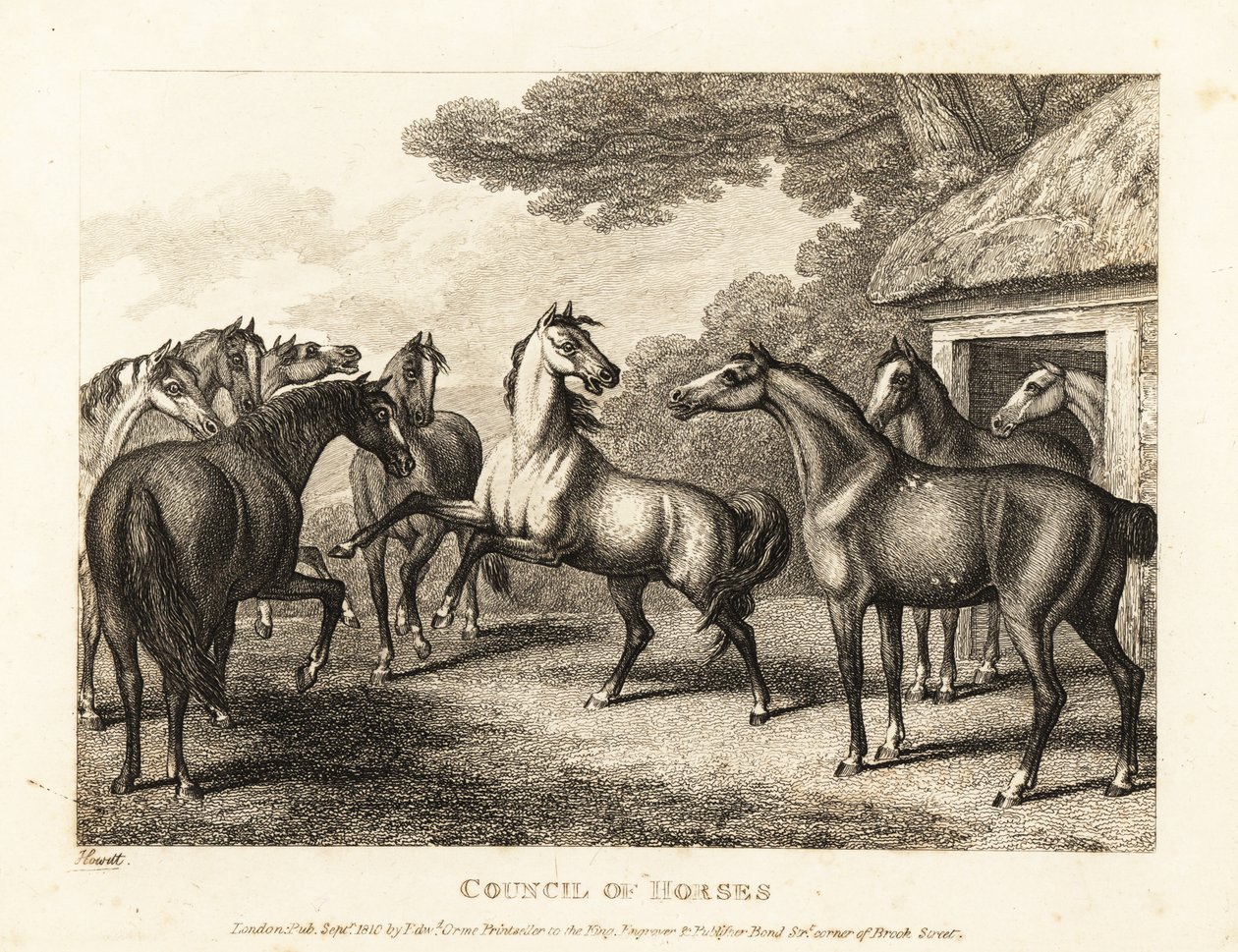 Ein junges Fohlen versucht eine Meuterei im Stall anzuzetteln. 1811 (Radierung) von Samuel Howitt