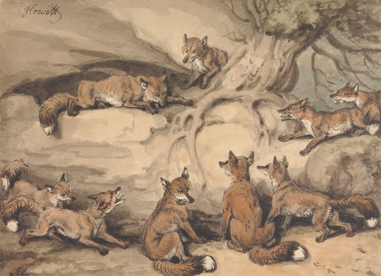 Neun Füchse versammeln sich um einen Baum: eine Illustration von Äsops Fabel "Der Fuchs, der seinen Schwanz verlor" von Samuel Howitt
