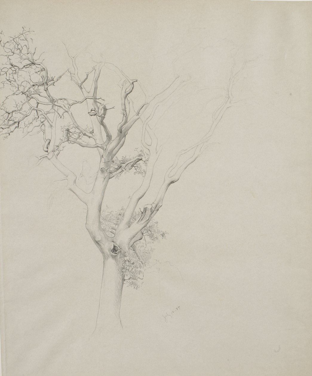 Baumstudie, 1884 von Samuel Isham