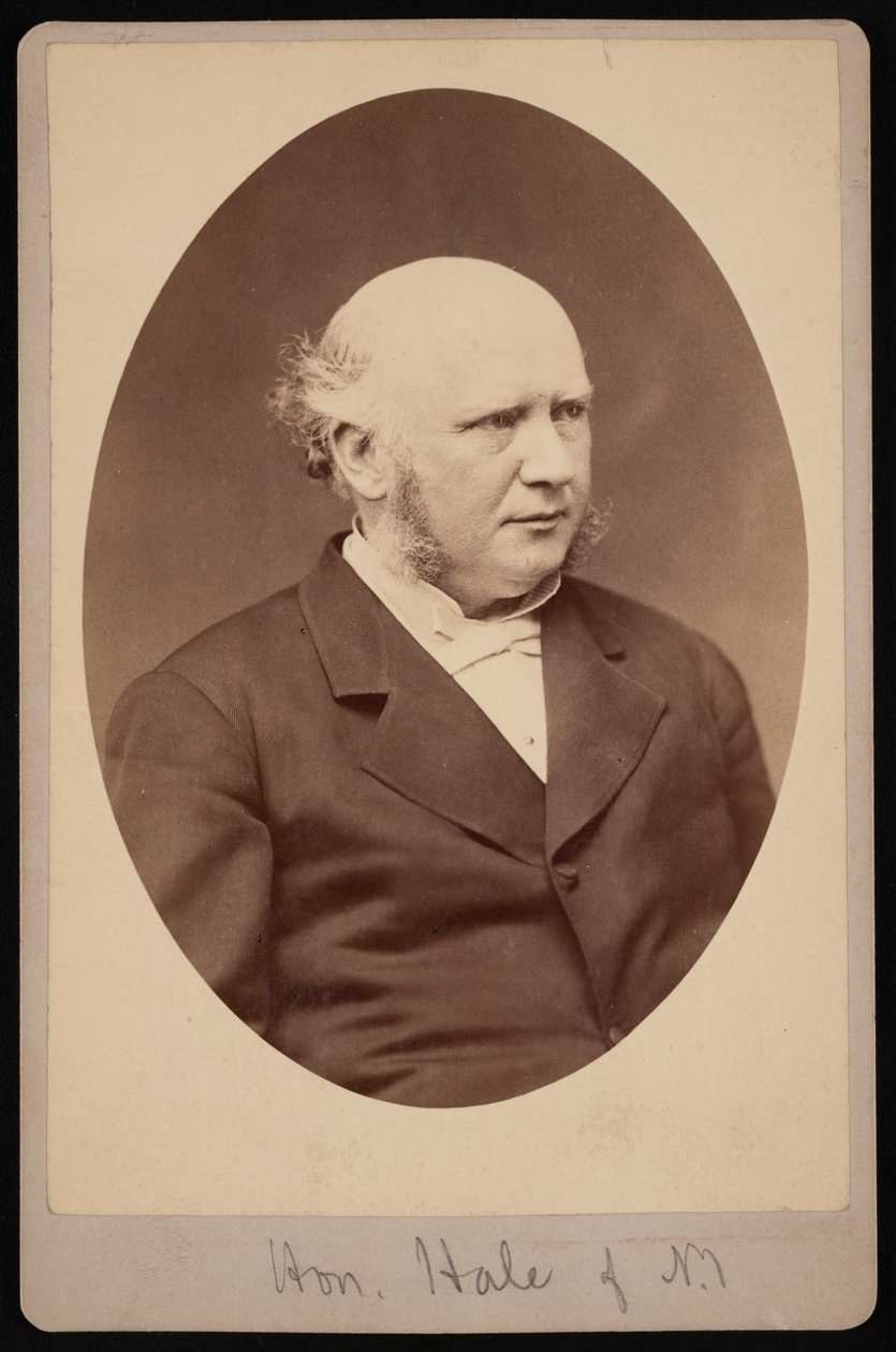 Porträt von Robert Safford Hale 1822-1881 von Samuel Montague Fassett