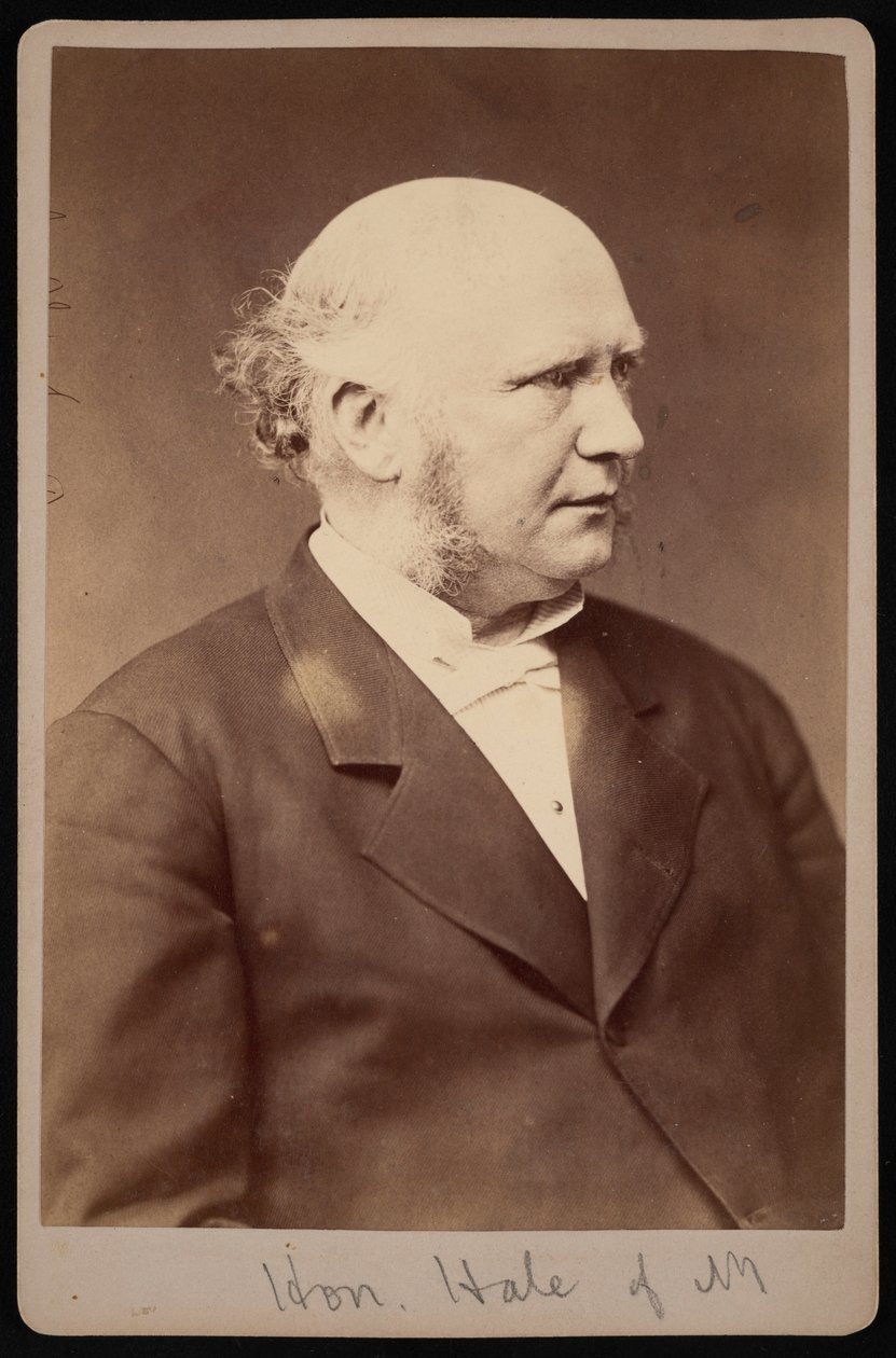 Porträt von Robert Safford Hale, 1822-1881 von Samuel Montague Fassett