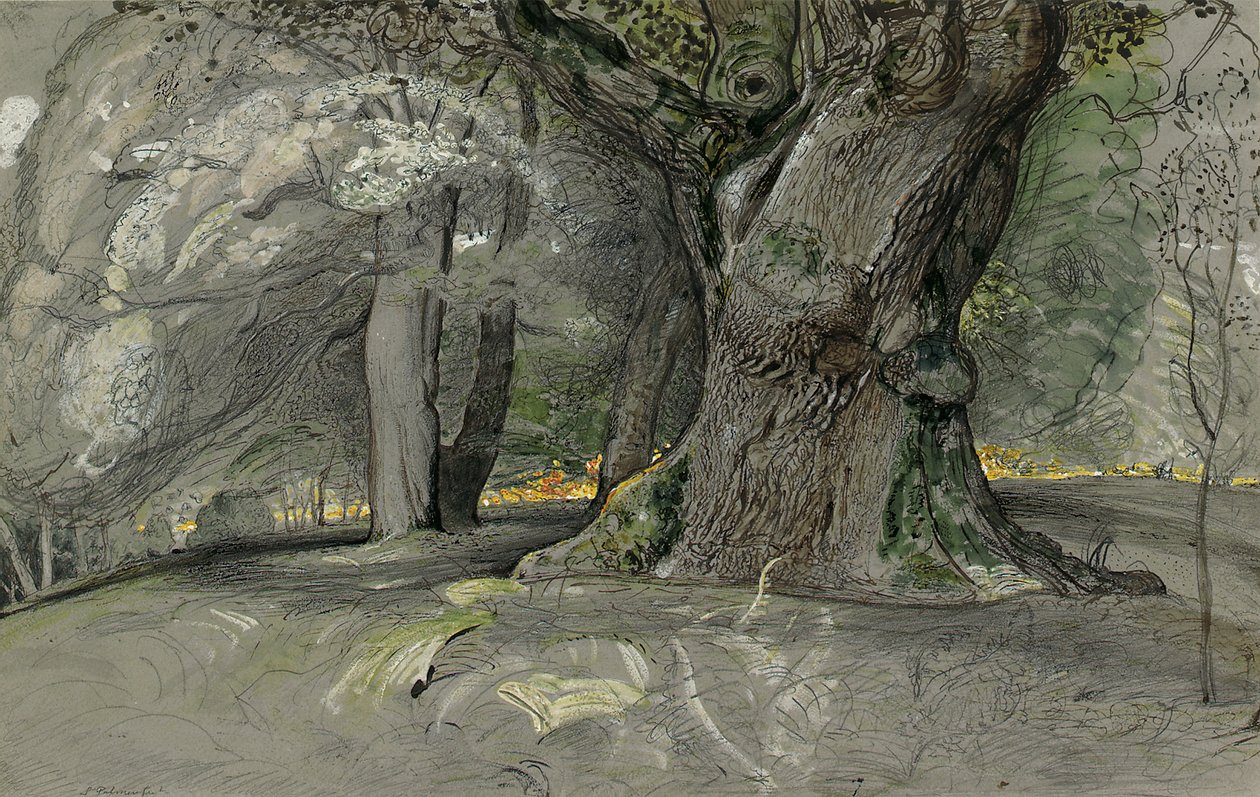 Eiche und Buche, Lullingstone Park von Samuel Palmer