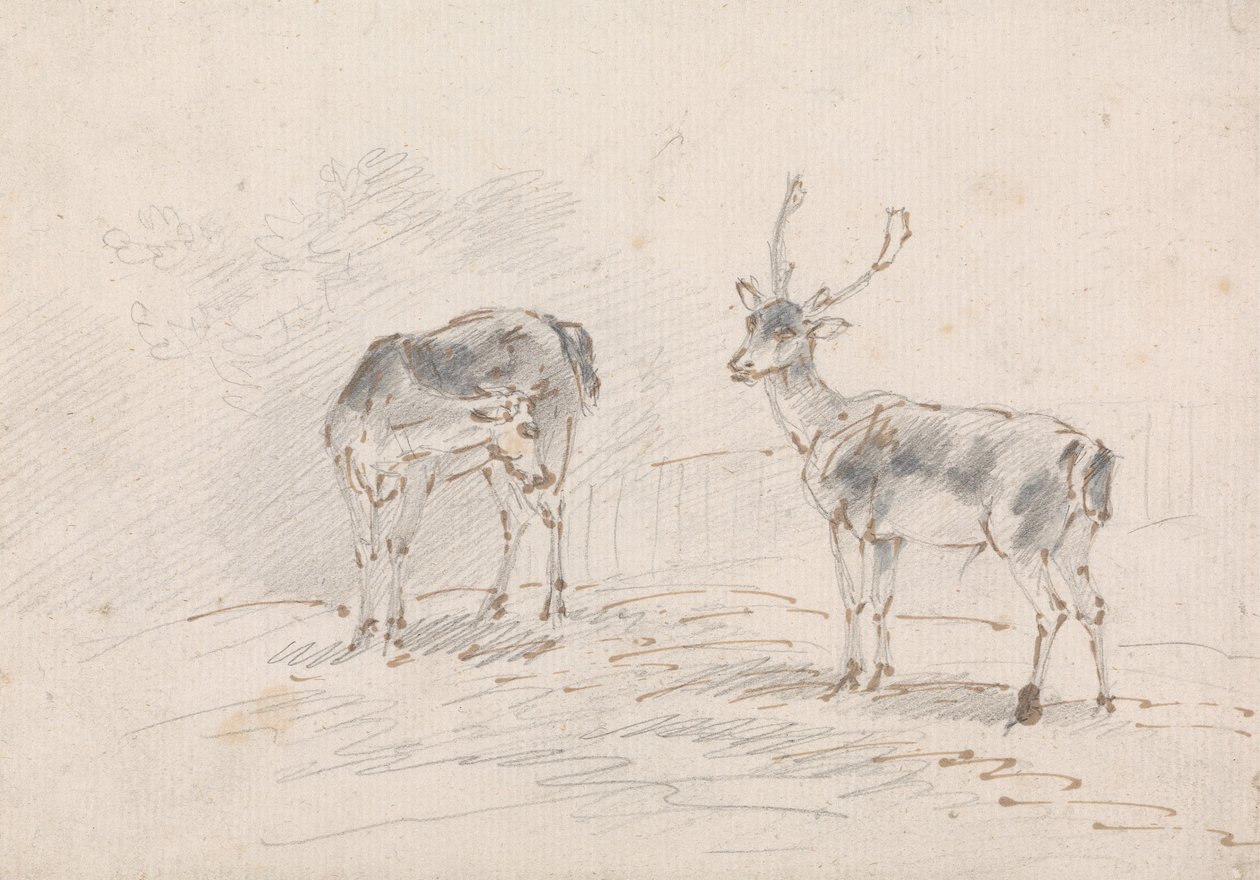 Reh und Hirsch von Sawrey Gilpin
