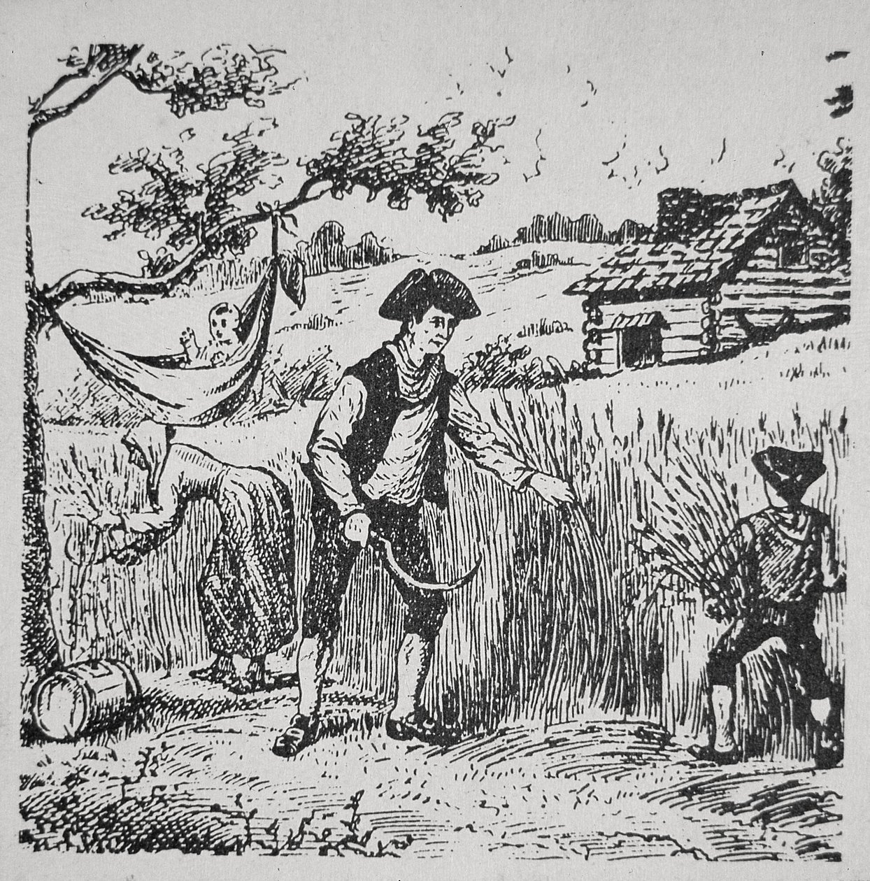 Eine Familie bei der Ernte von Mais von School American