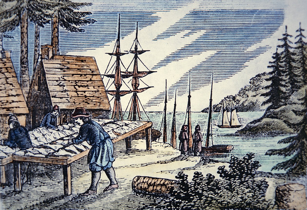 Fischer trocknen Kabeljau in Neuengland, aus einem Holzschnitt des 17. Jahrhunderts von School American