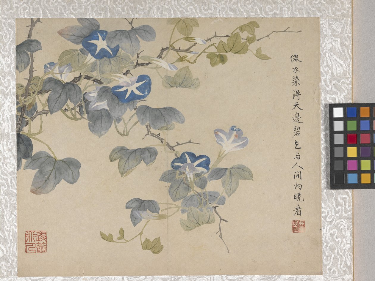 8-Blatt-Album von Blumen, Mitte 1700er von School Chinese