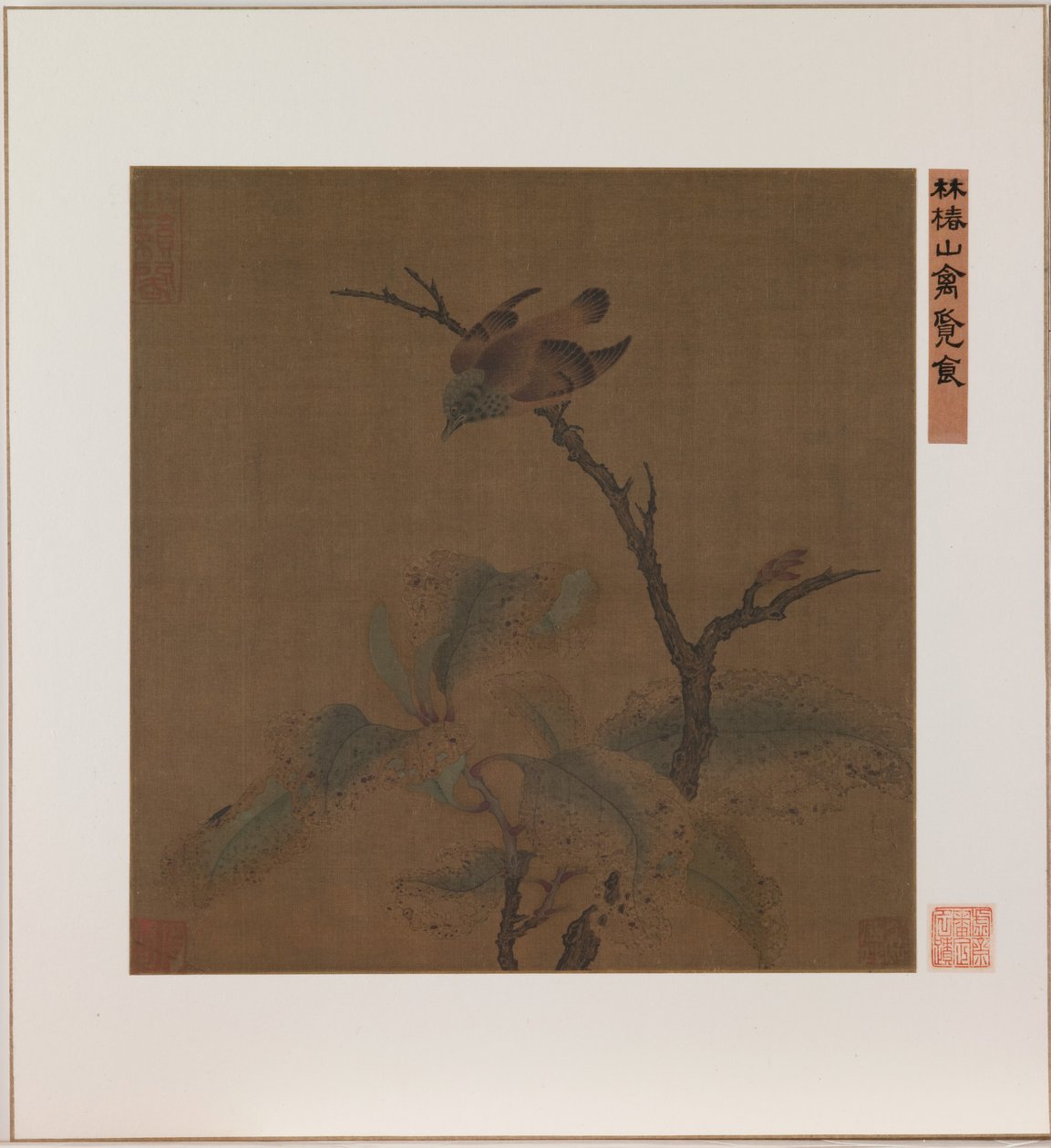 Vogel auf einem Ast von School Chinese