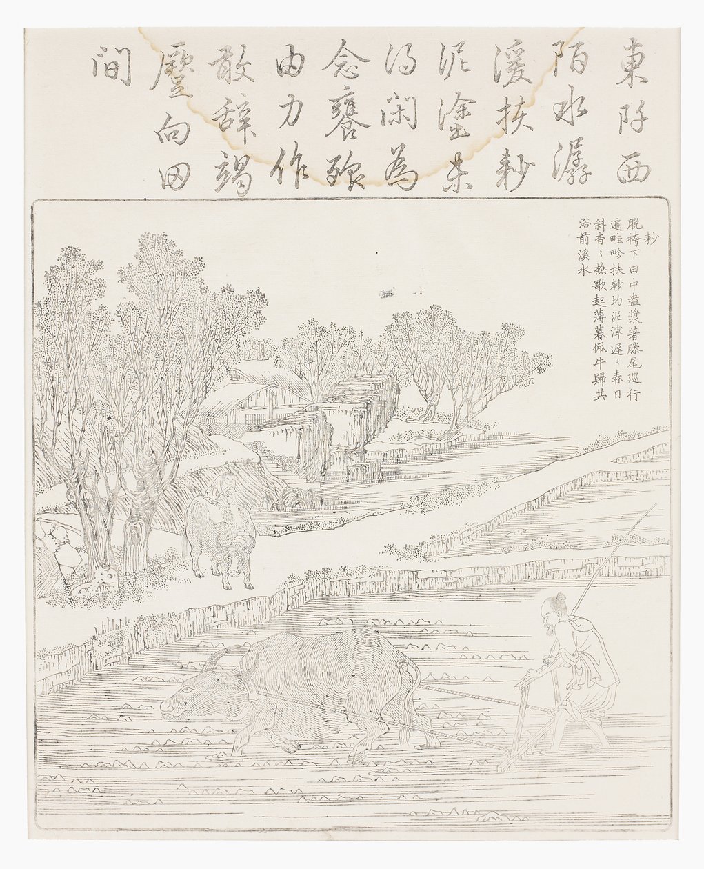 Reisfeld bei trockenem Wetter bearbeiten von School Chinese