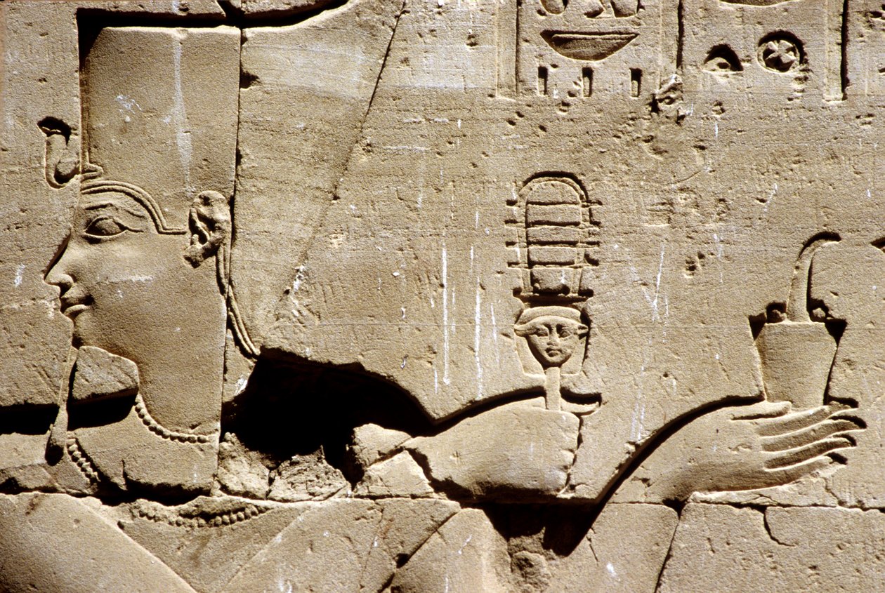 Altes Ägypten, Wandmalerei, Der Pharao Ptolemaios schüttelt ein Sistrum und opfert Weihrauch, Tempel von Horus, Edfu von School Egyptian