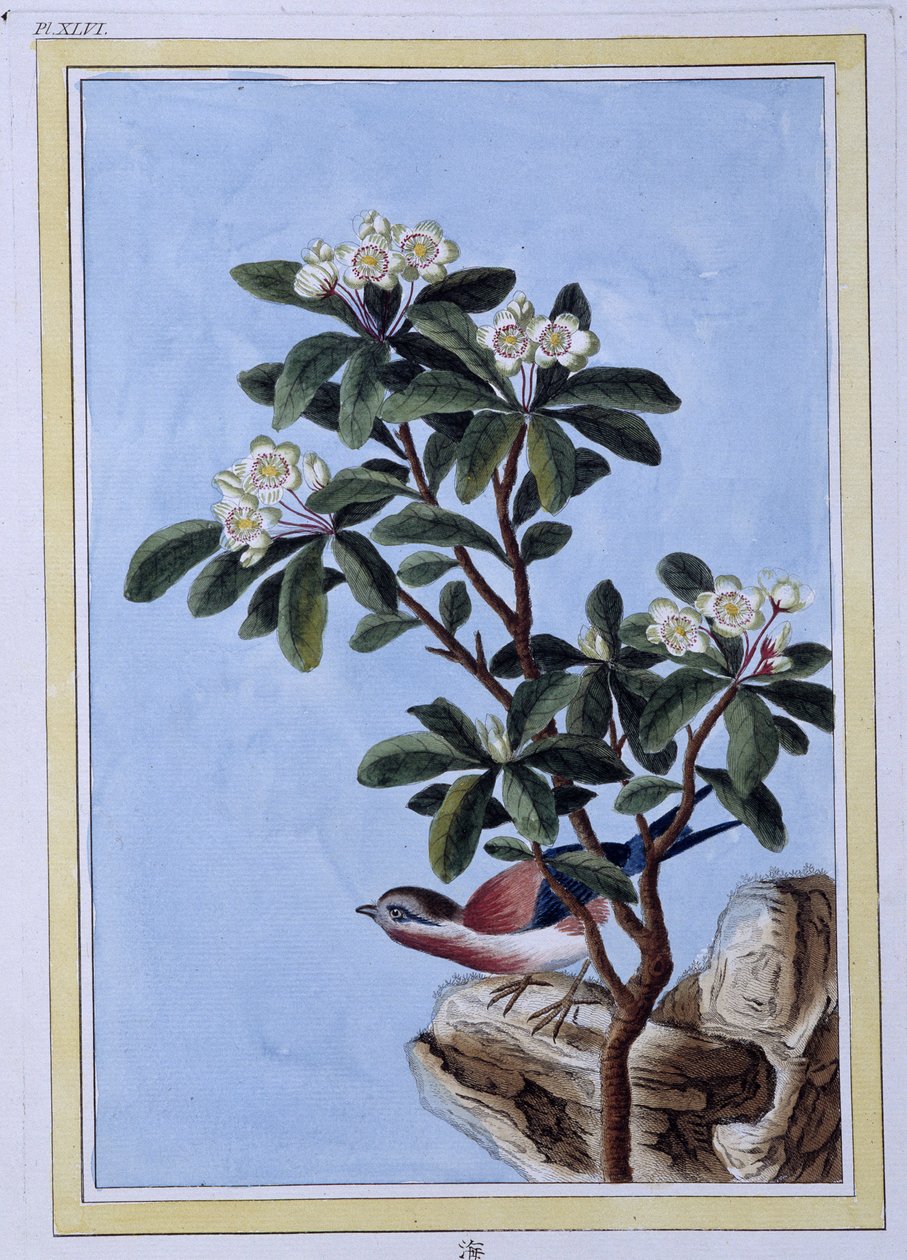 Vogel - Japanischer Druck von Japanese School