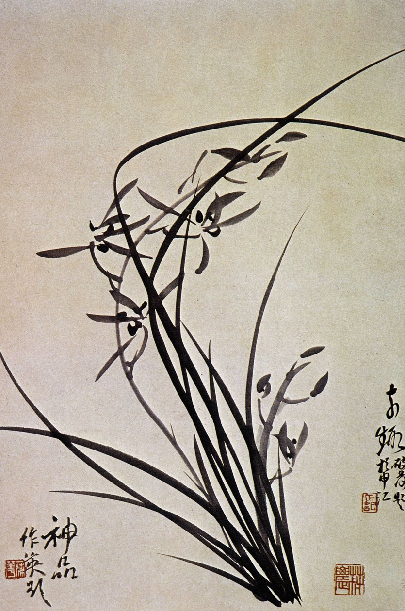 Orchideen. Koreanischer Druck der YI-Dynastie. von School Korean