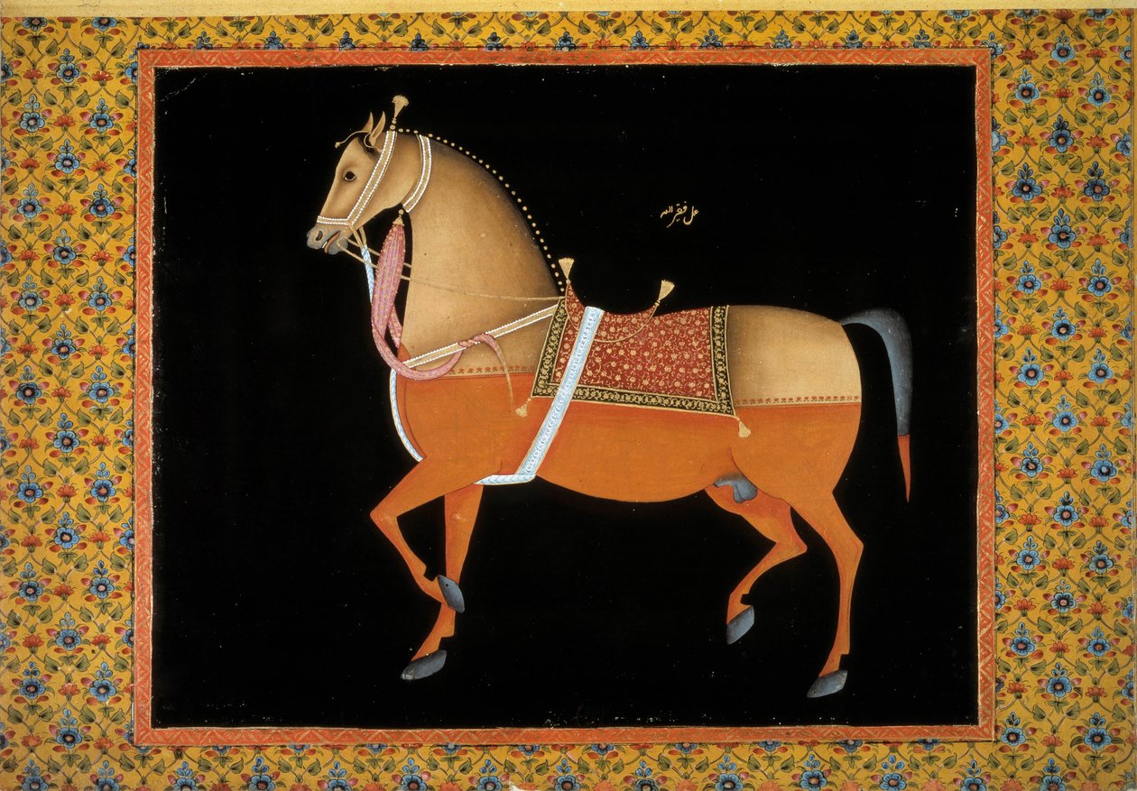 Mogulkunst: Darstellung eines Hengstes. 18. Jahrhundert von School Mughal