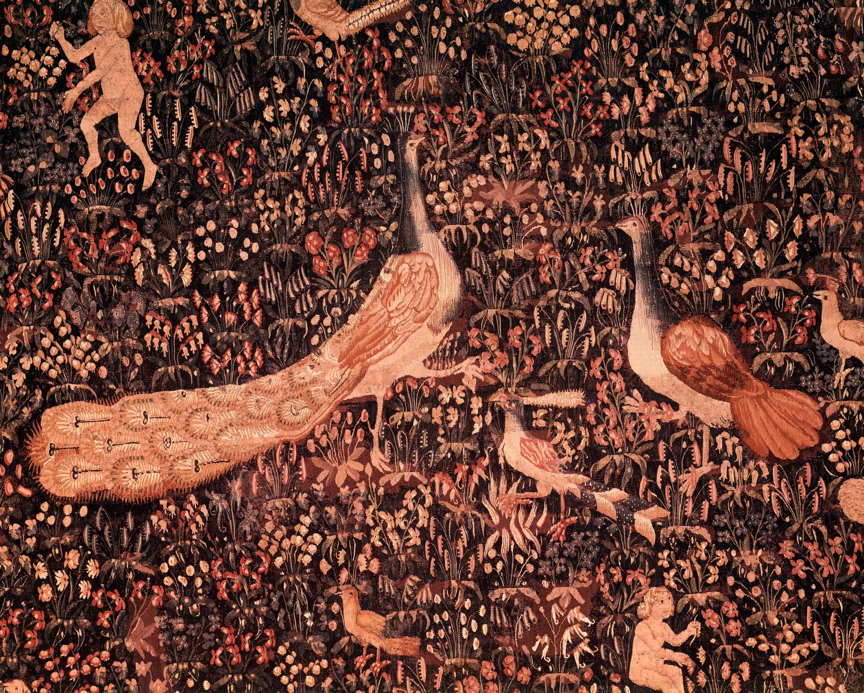 Der Vorhang des Seigneurialen Lebens: Detail, das Vögel und einen Pfau darstellt von School Netherlandish