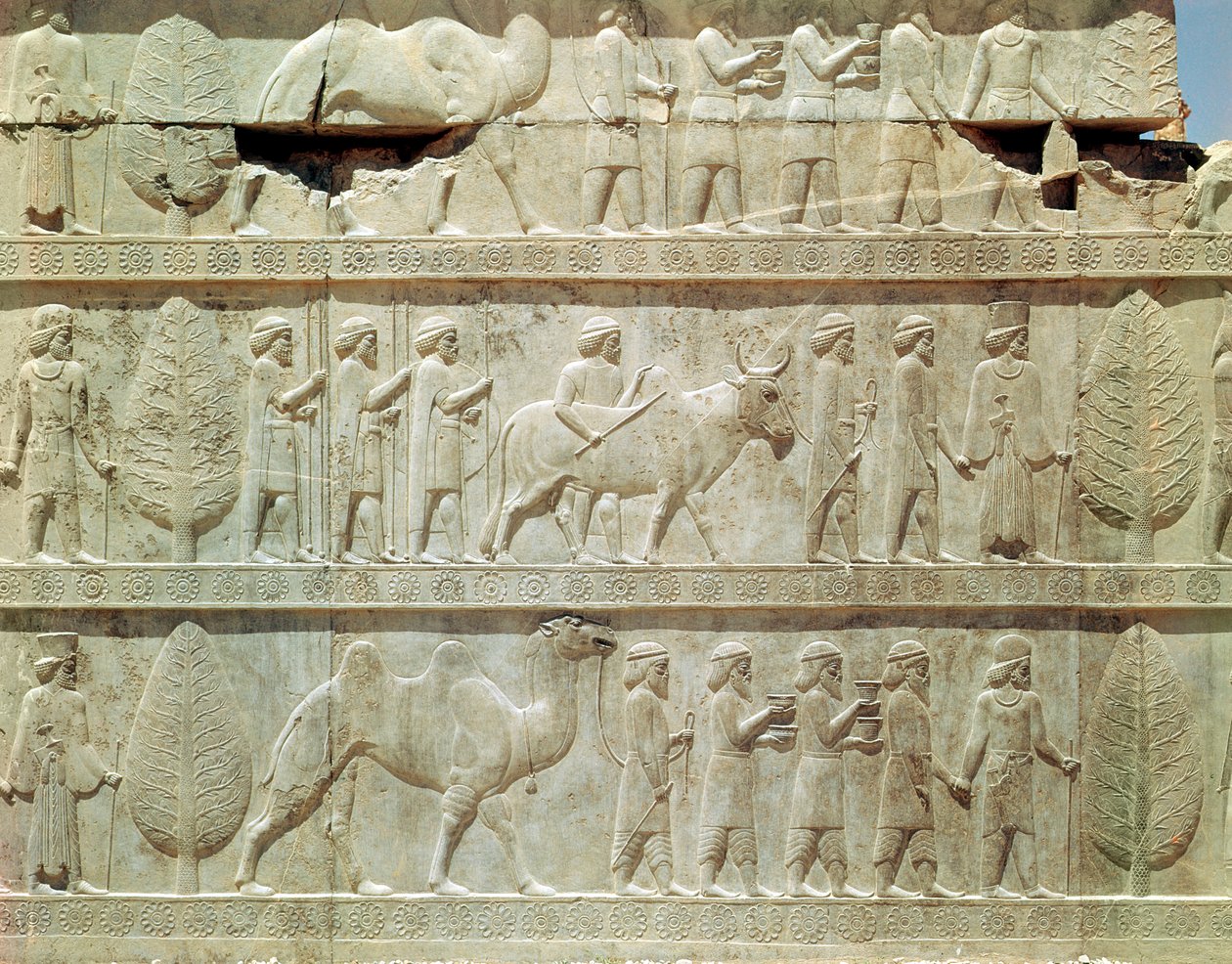 Detail des Relief-Frieses auf der Osttreppe zur Apadana (Audienzhalle), Achaimenidenzeit, ca. 515 v. Chr. von School Persian