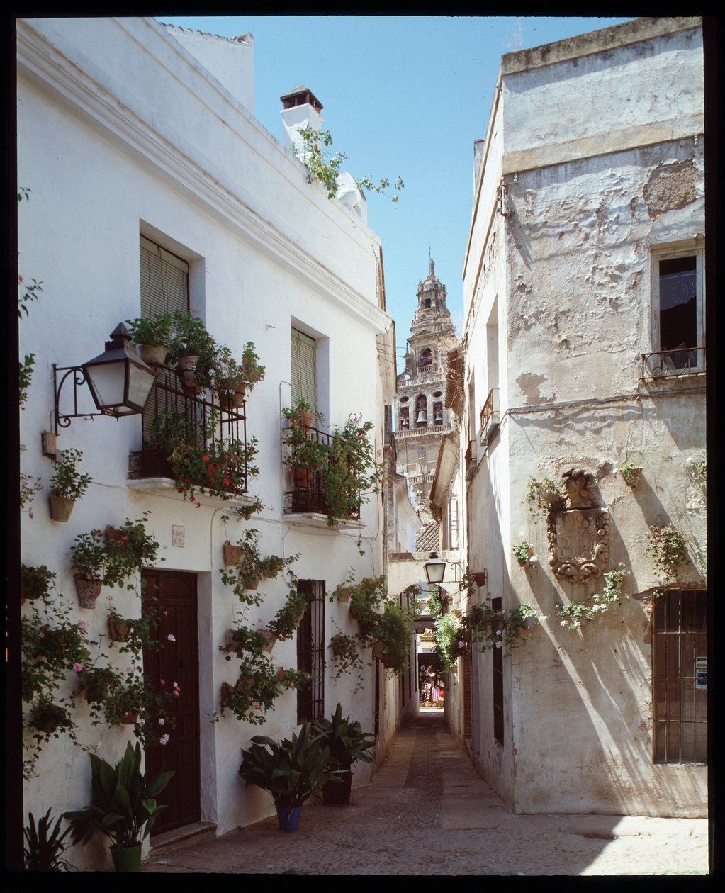 Blick auf das Minarett (Glockenturm) der Großen Moschee der Omayyaden (Mezquita), jetzt Kathedrale, von der Calle de los Flores, Córdoba, Spanien von School Spanish