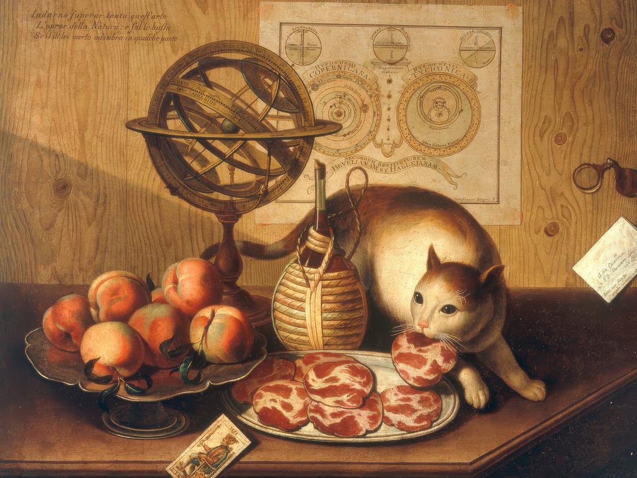 Stilleben mit Katze von Sebastiano Lazzari