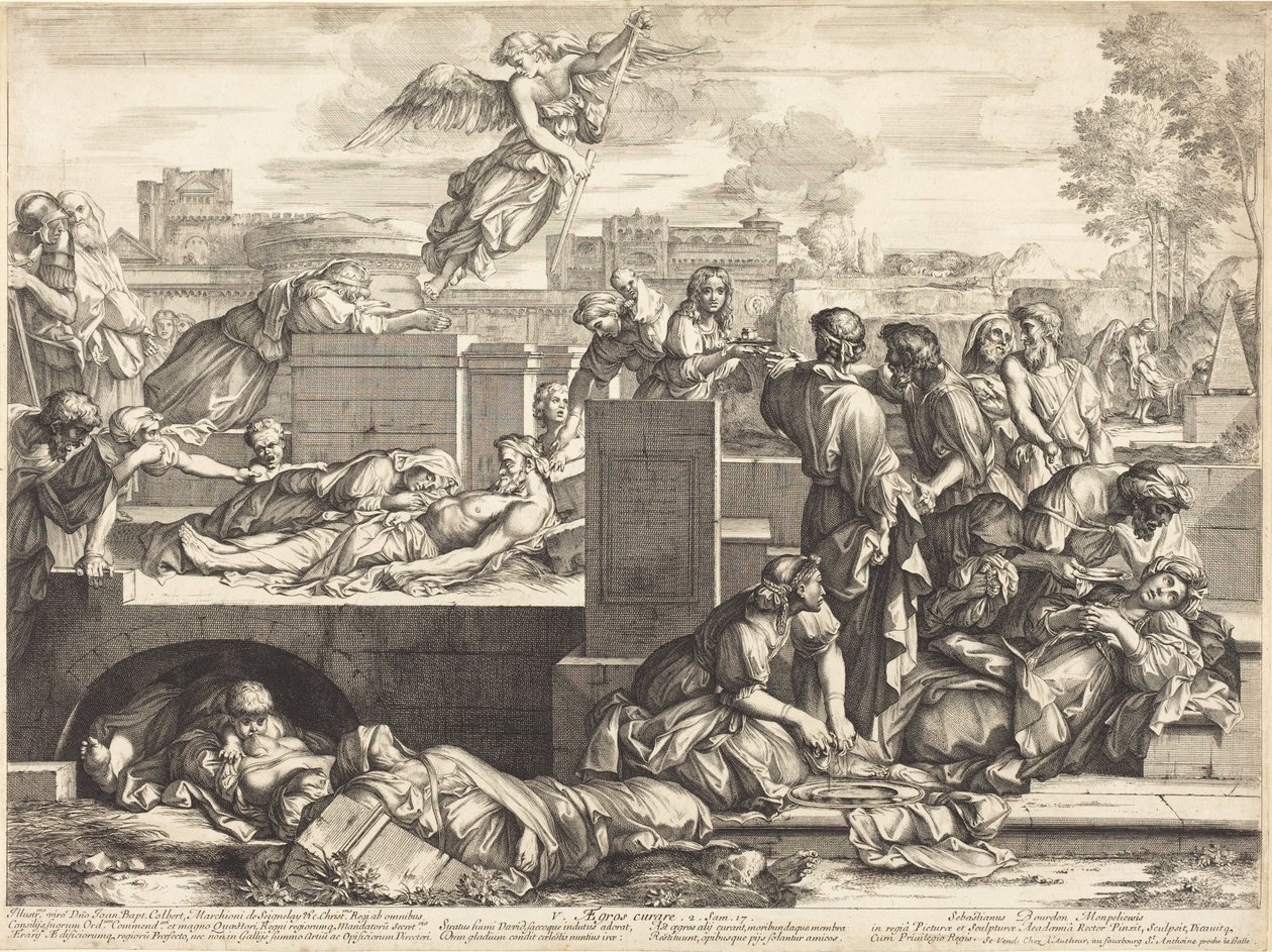 Aegros Curare von Sébastien Bourdon