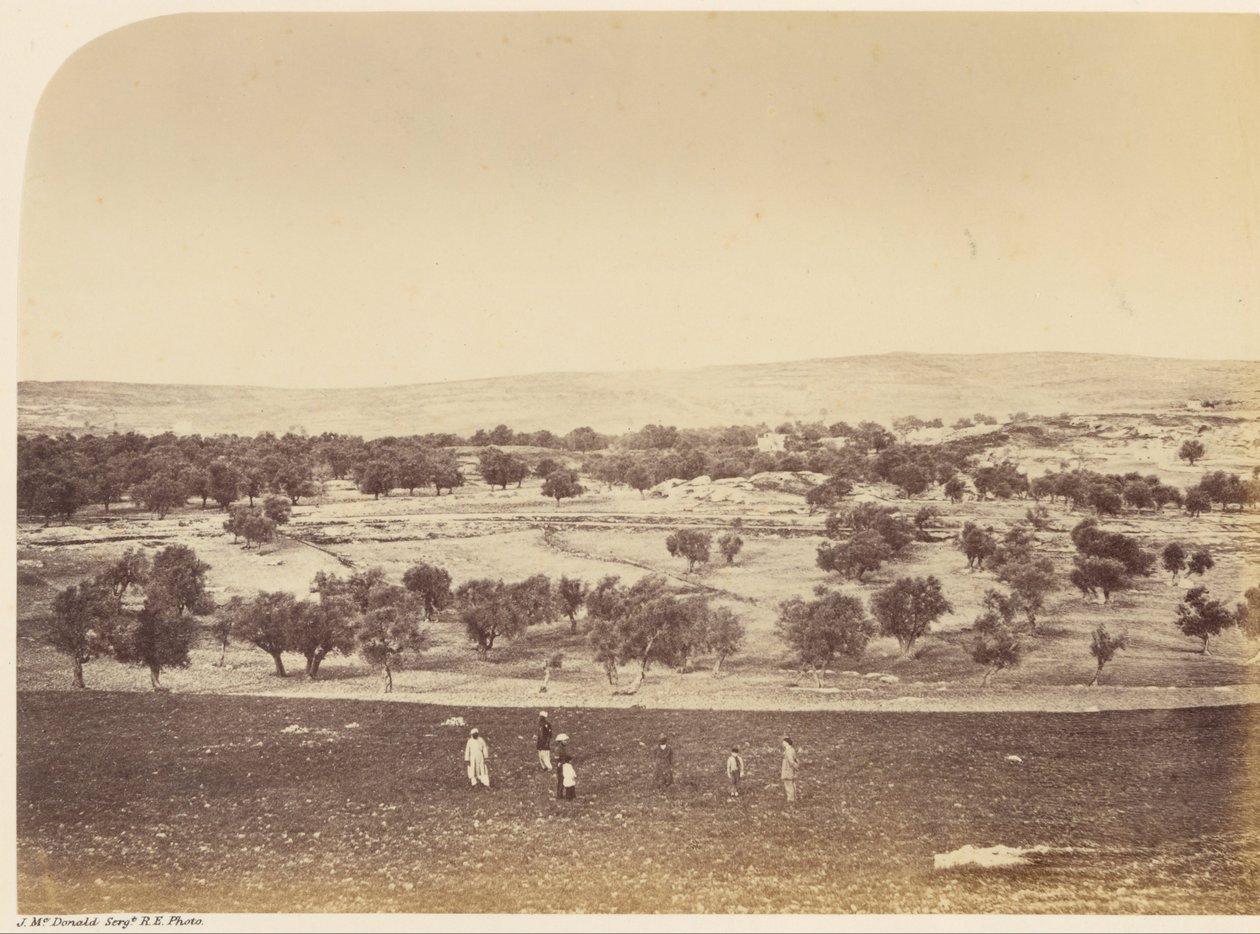 Panoramablick auf die Stadt - Gesamtansicht der Stadt von Norden von Sgt. James M. McDonald
