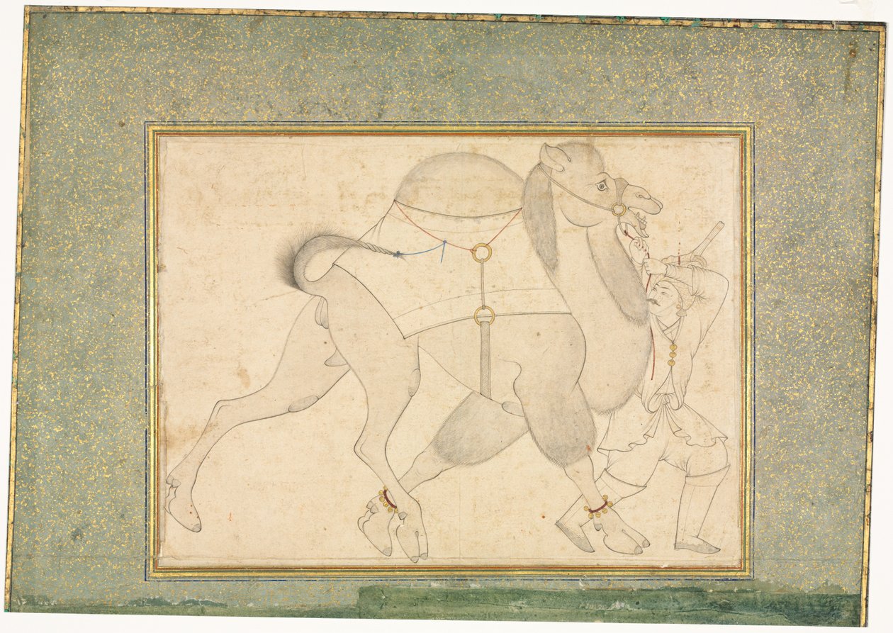 Kamel und Führer, Einzelblatt-Illustration von Shaykh Muhammad