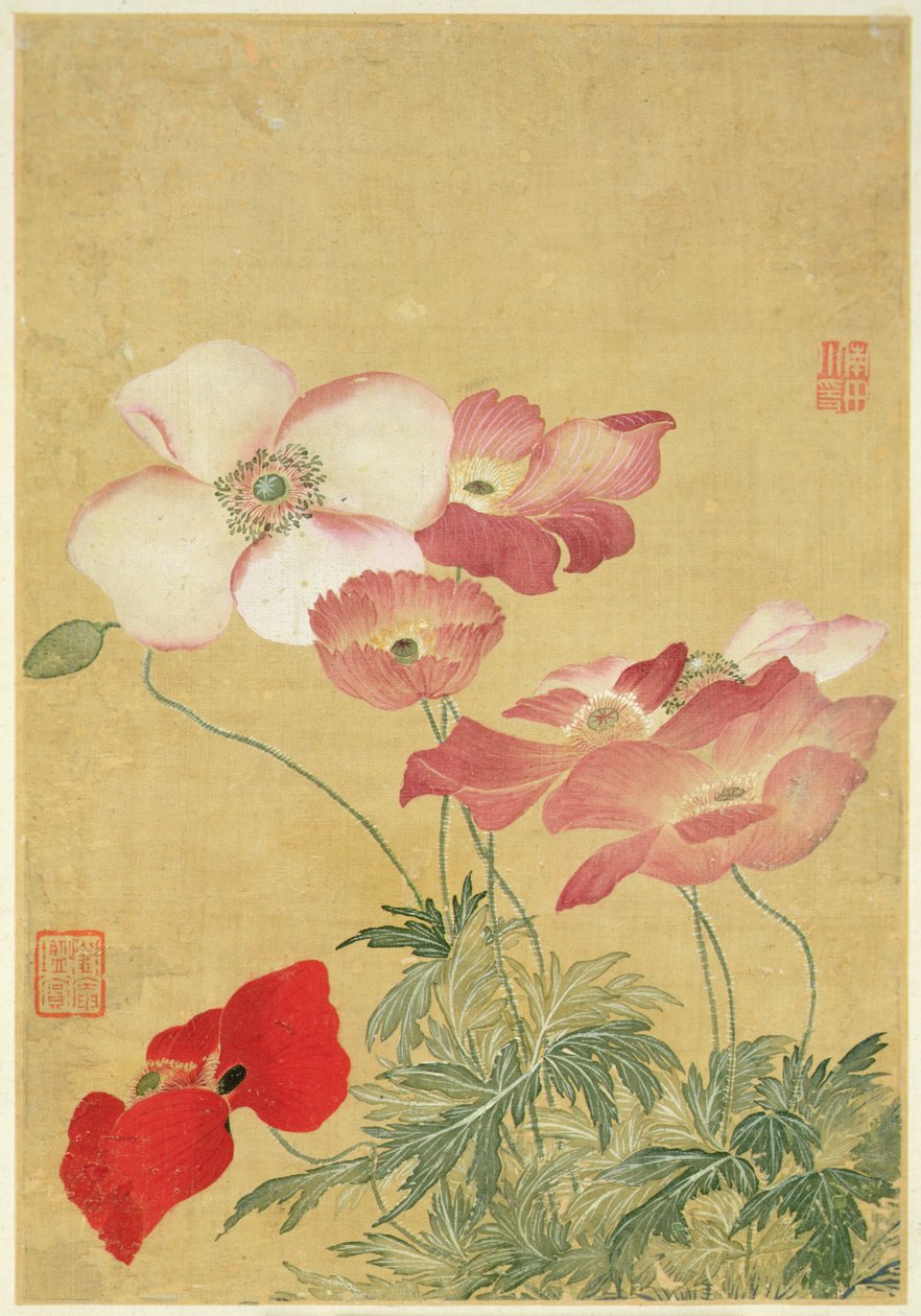 Bild aus dem Album der Blumenmalereien (Aquarell) von Shouping Yun