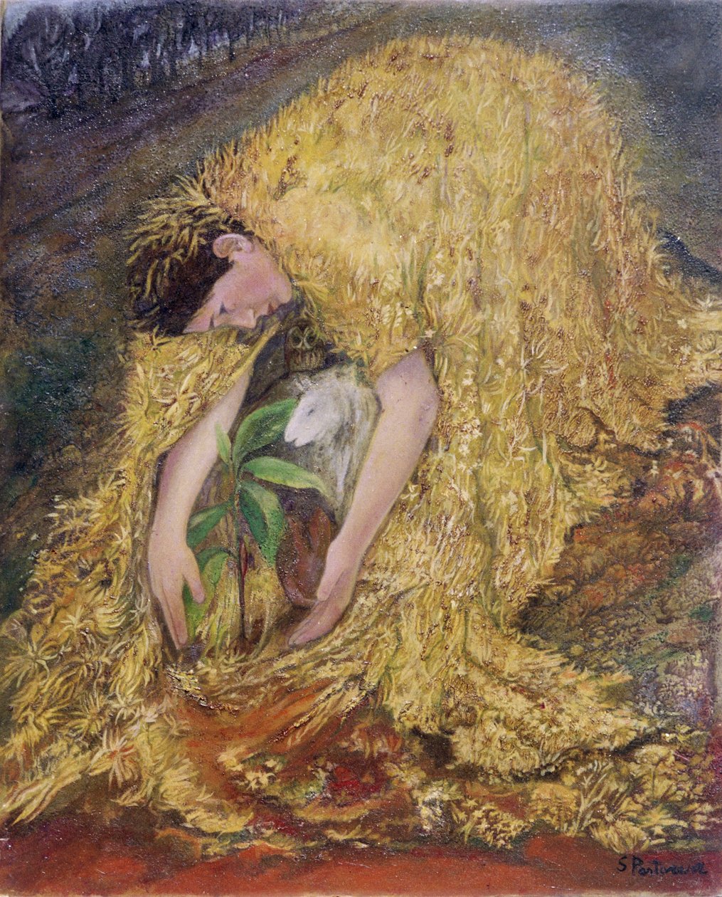 Der Gärtner von Silvia Pastore
