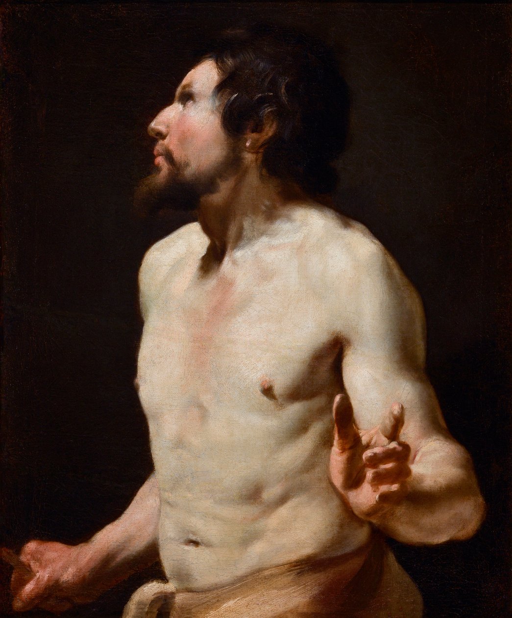 Studie eines Torsos aus der Schule von Simon Vouet (1590-1649) von Simon (circle of) Vouet