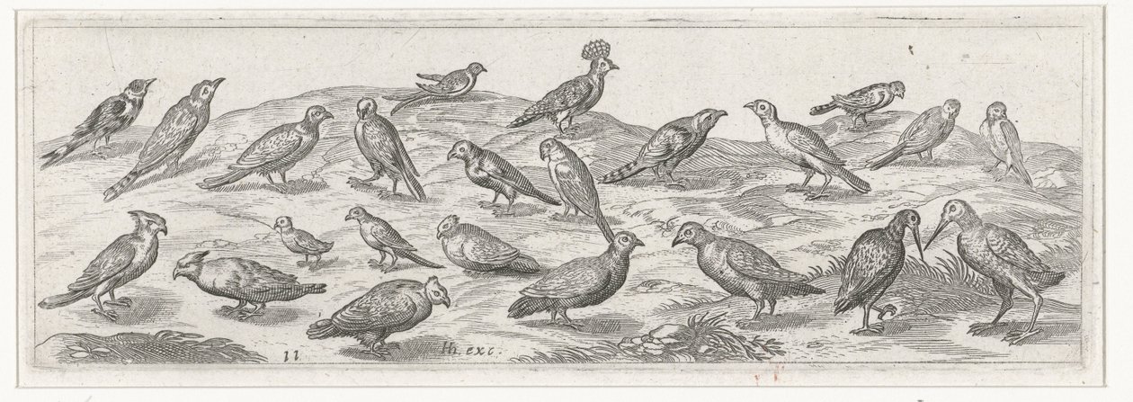 Landschaft mit verschiedenen Vogelarten
Vögel und Insekten (Serientitel) von Simon Frisius