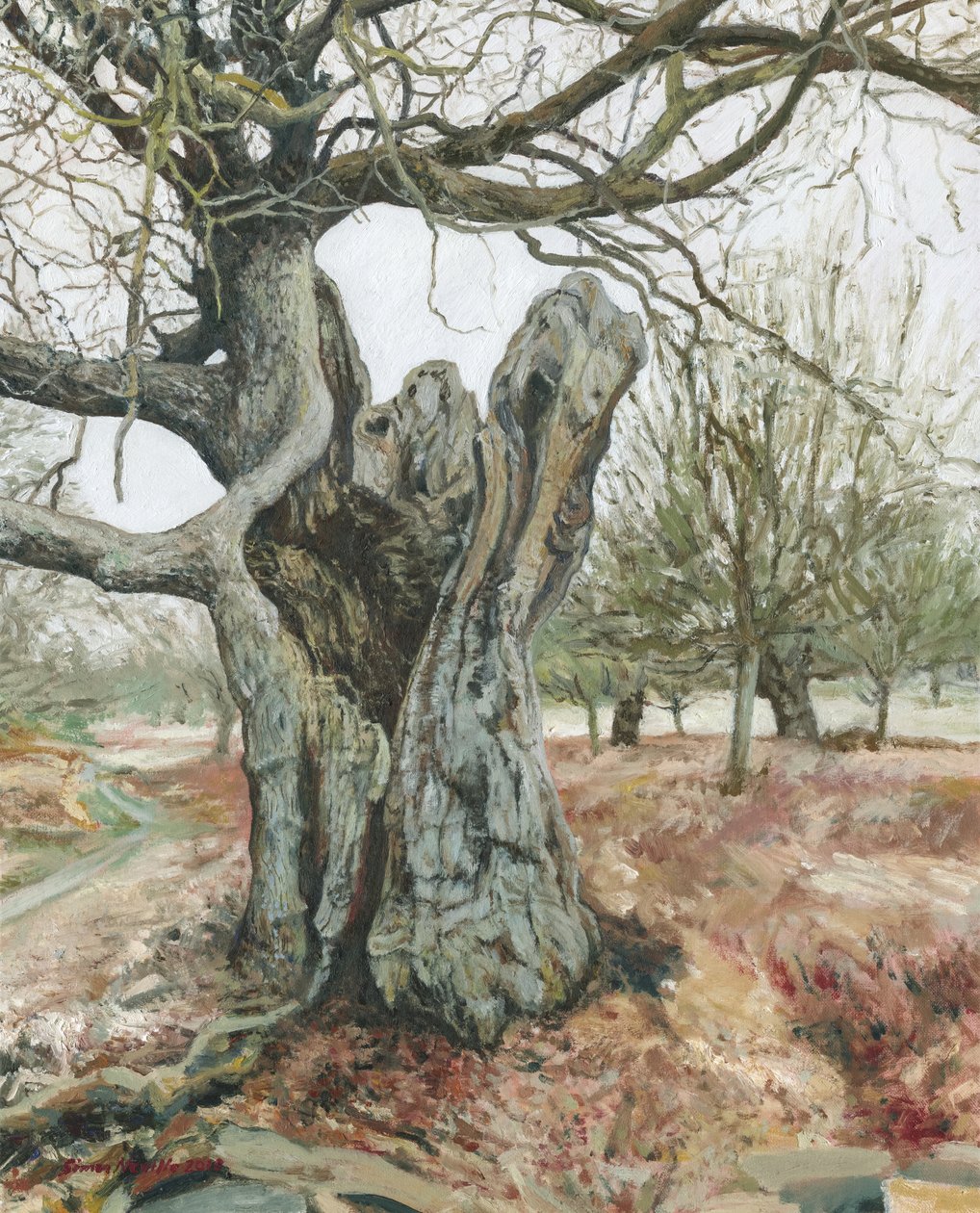 Alter Baum, Richmond Park, 2018 von Simon Neville