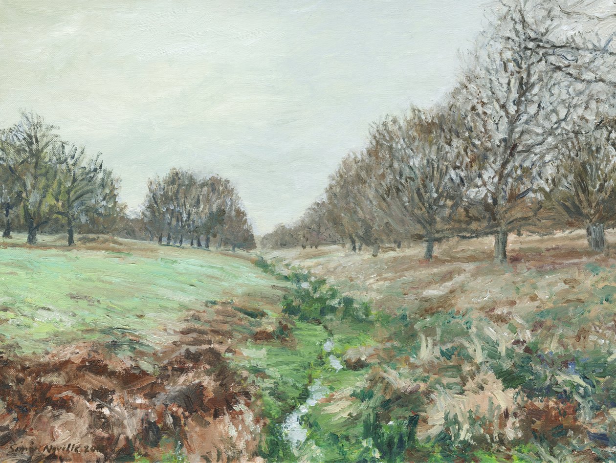Richmond Park von Simon Neville