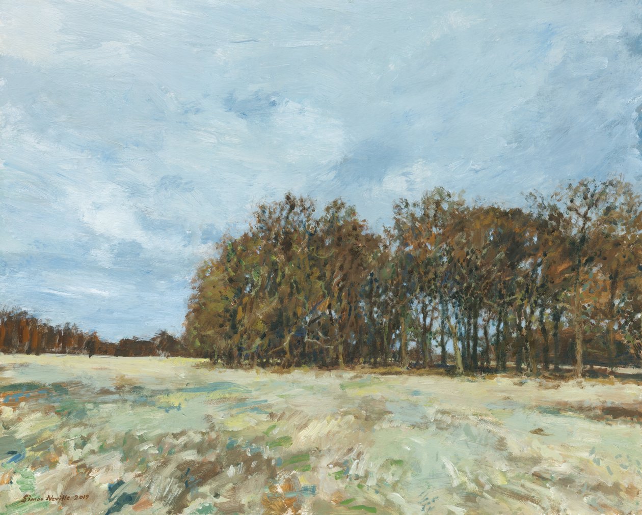 Waldgebiet, Richmond Park von Simon Neville