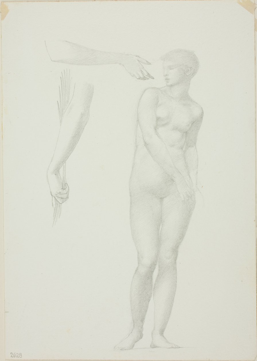 Stehender weiblicher Akt und Skizzen von Armen von Sir Edward Burne Jones