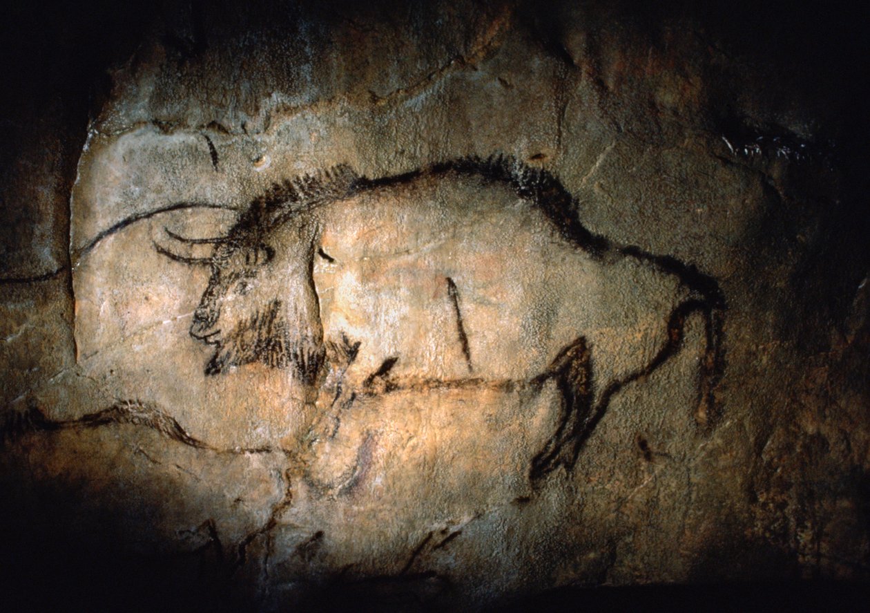 Bison im Salon Noir der Höhle von Niaux von Sisse Brimberg