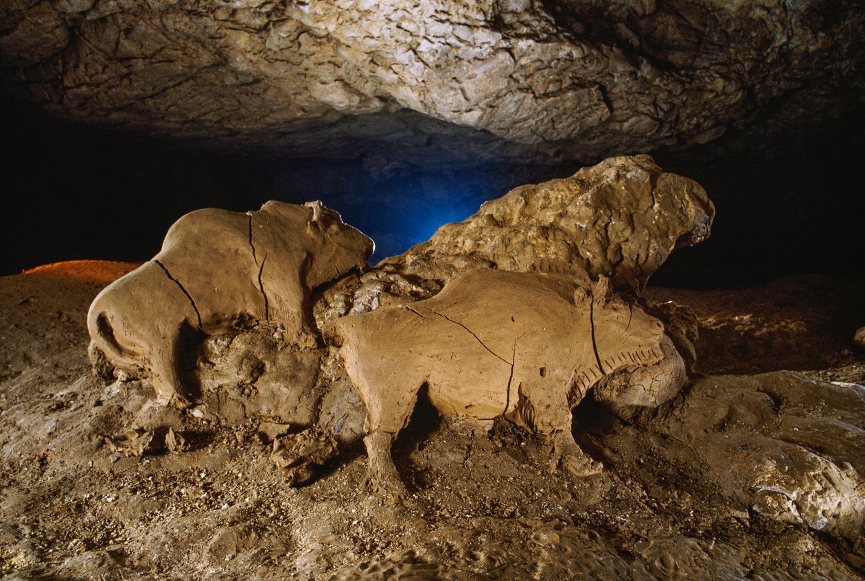 Die Ton-Bisons von Le Tuc d’Audoubert von Sisse Brimberg