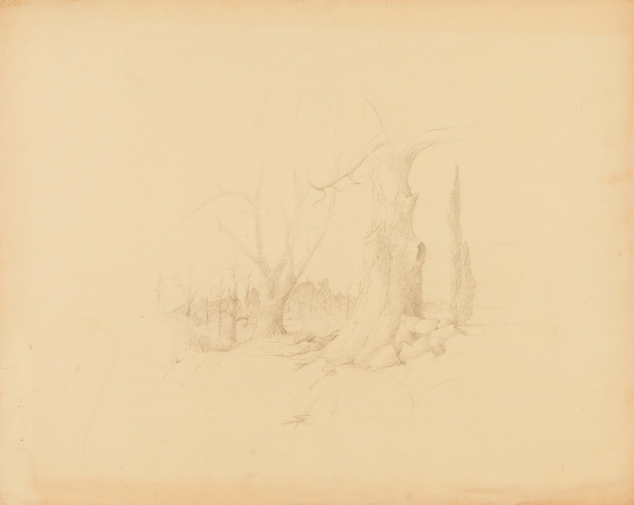 Landschaft von Solon H. Borglum