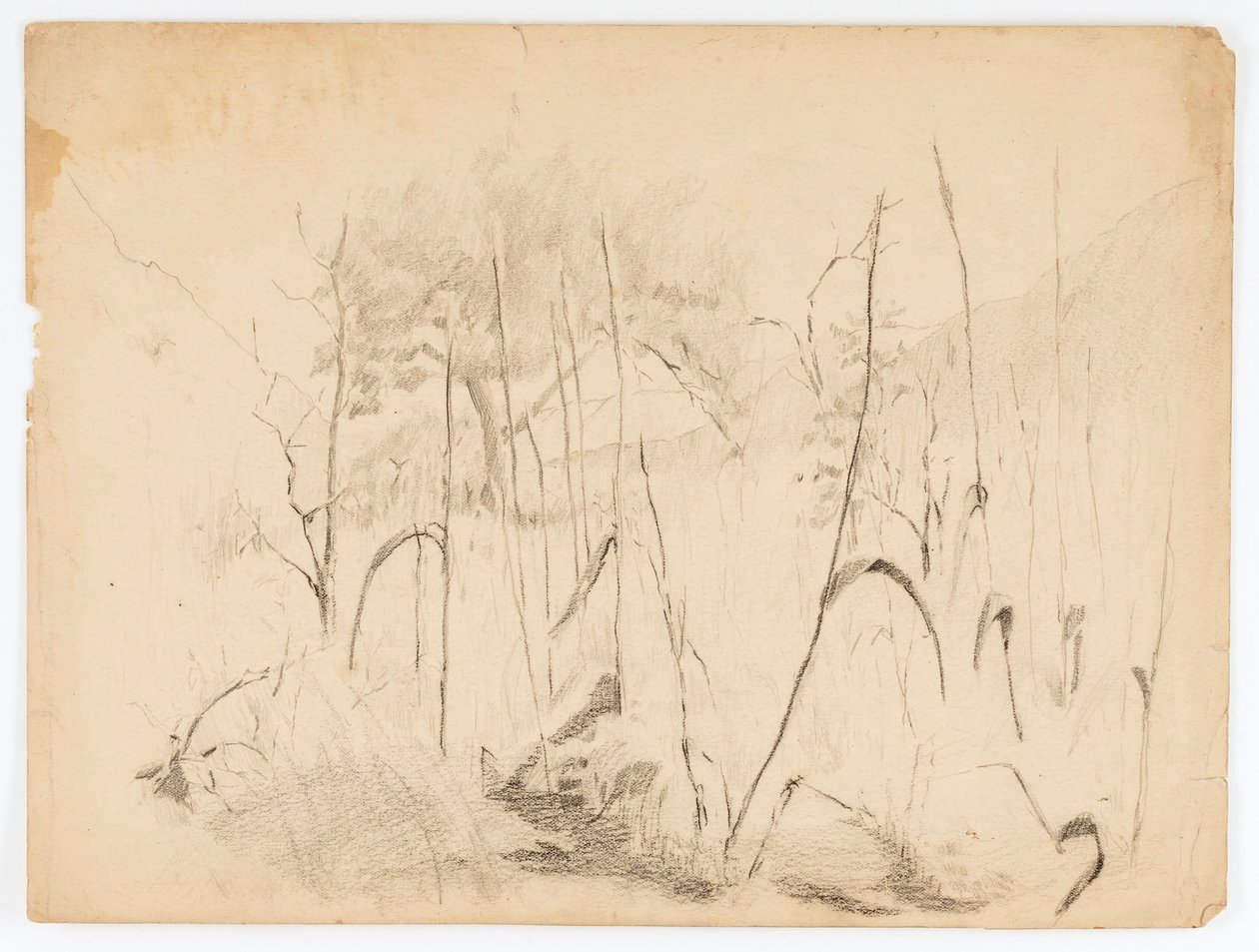 Landschaft von Solon H. Borglum