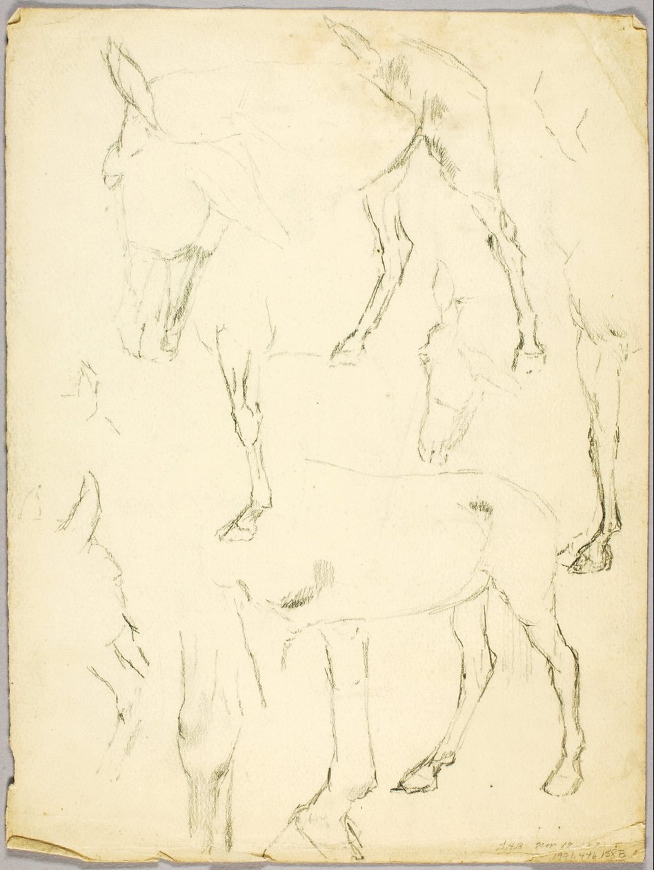 Porträtstudie, Pferdestudie von Solon H. Borglum