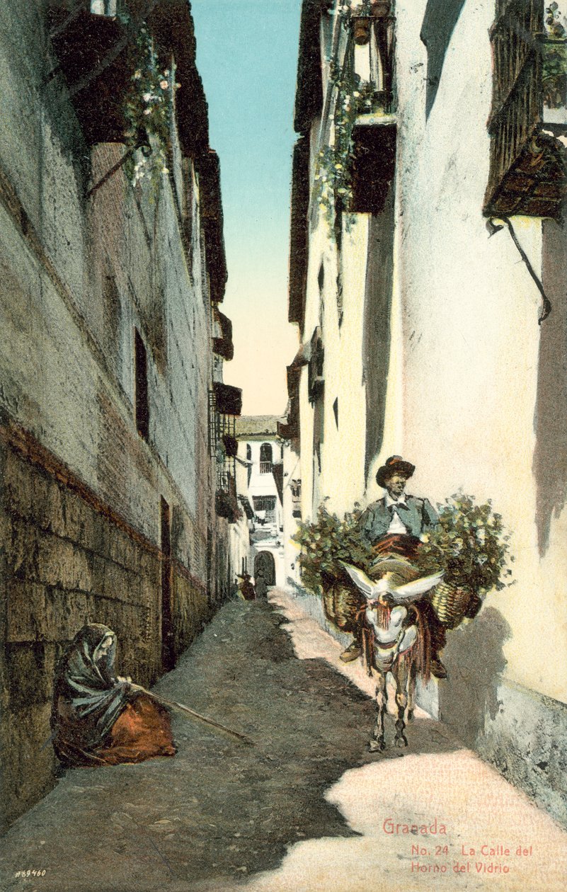 Granada, La Calle Del Horno Del Vidrio, Spanien von Spanish Photographer