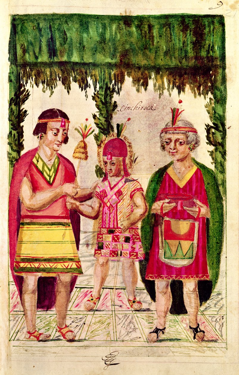 Illustration von Cincheroca, aus 