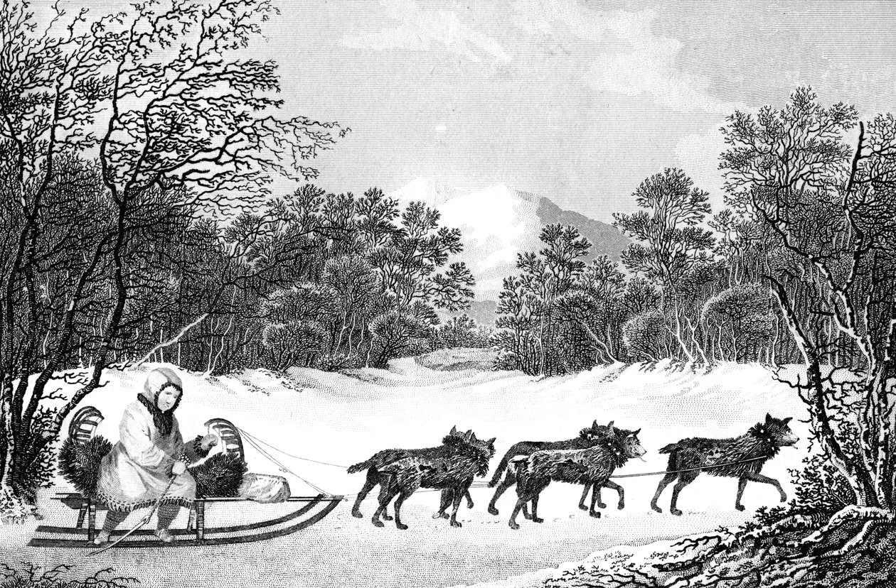 Die Art des Reisens im Winter in Kamtschatka, 19. Jahrhundert von Sparrow