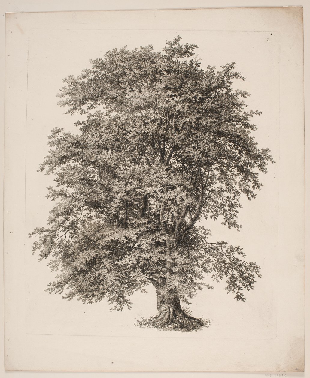 "Studien nach der Natur in Bezug auf Landschaftszeichnung von S.H. Petersen", Nr. 2 von Søren Henrik Petersen