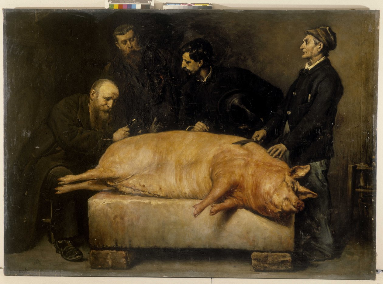 Das Experiment mit Strychnin (ein sehr giftiges Alkaloid, das aus der Brechnuss gewonnen wird) von Stanislas Torrents y de Amat
