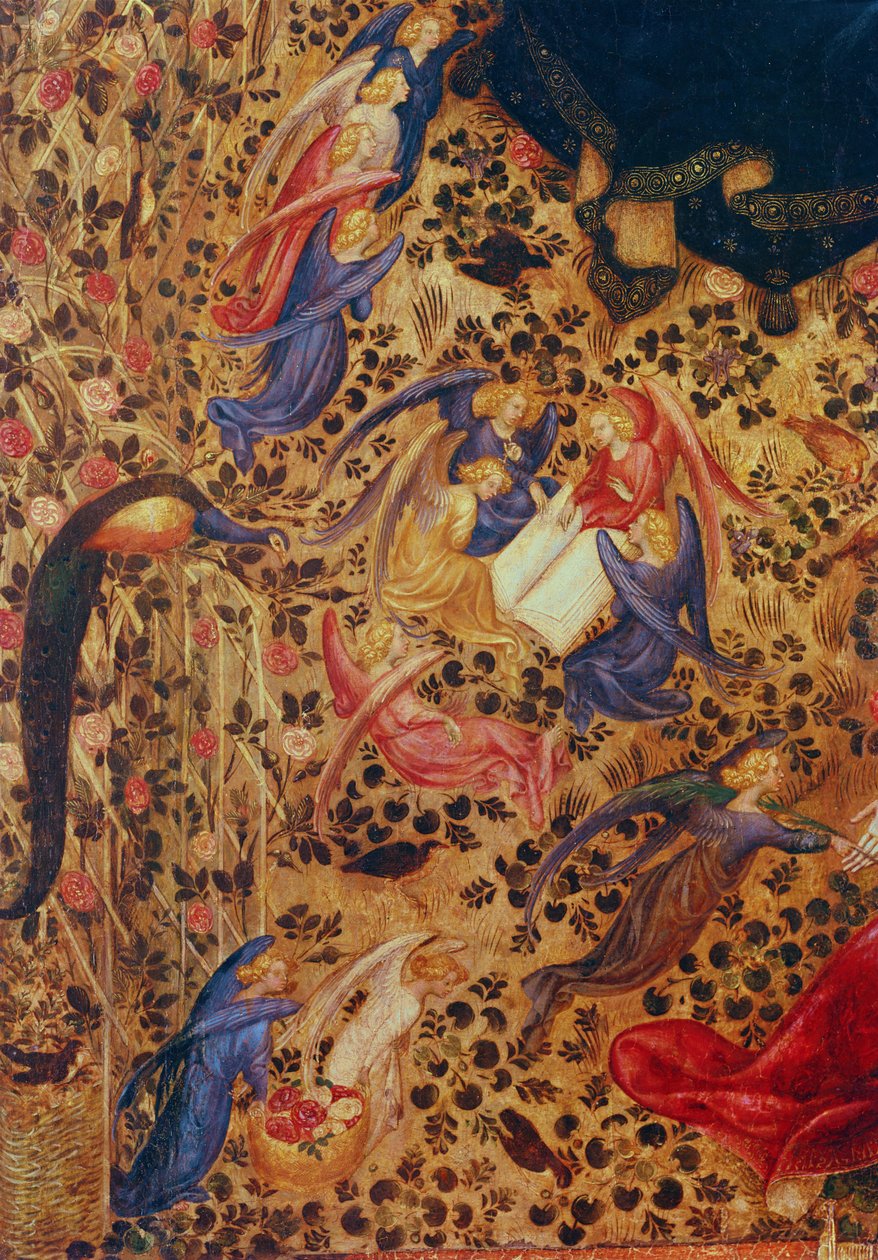 Madonna mit Rosenstrauch von Stefano di Giovanni da Verona